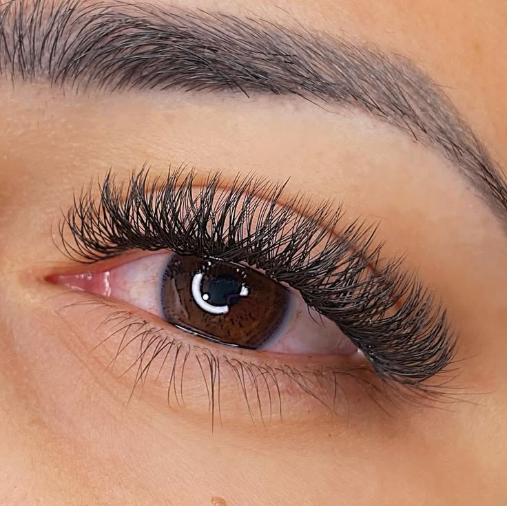 Elegance Express - Nail Art and Eyelash Studio
