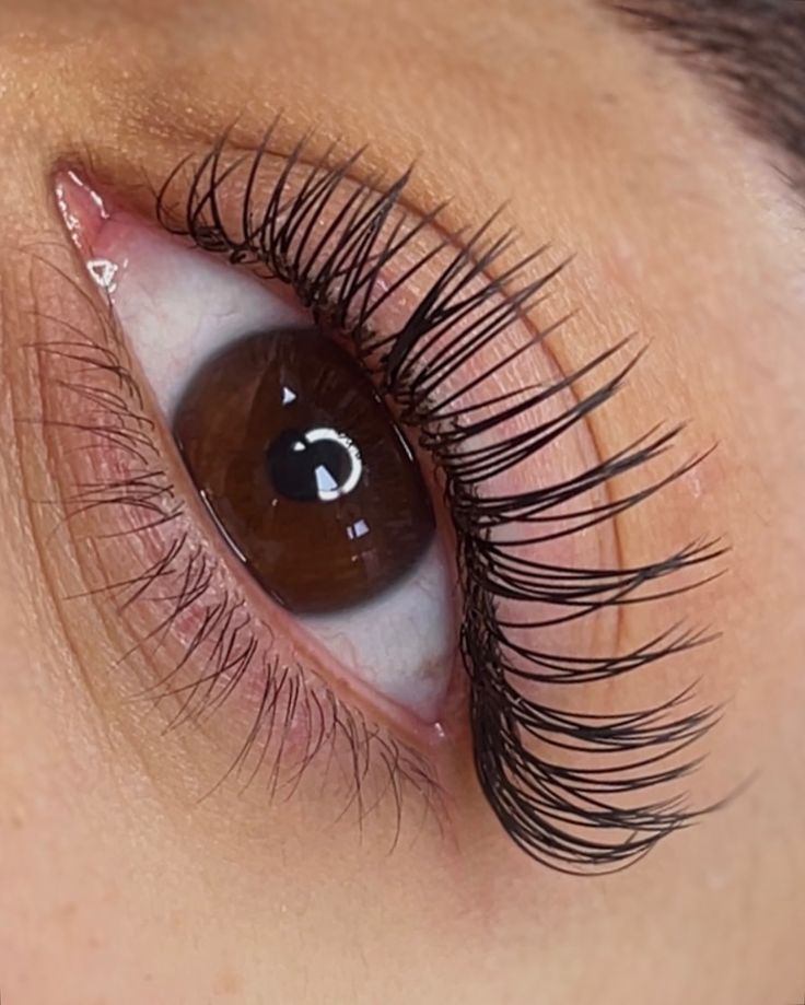 Elegance Express - Nail Art and Eyelash Studio