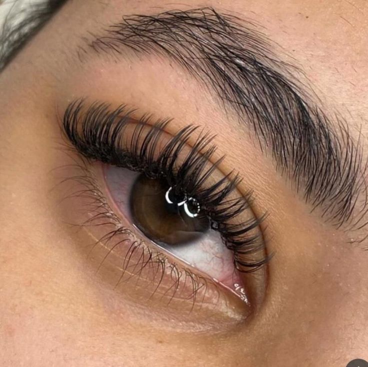 Elegance Express - Nail Art and Eyelash Studio