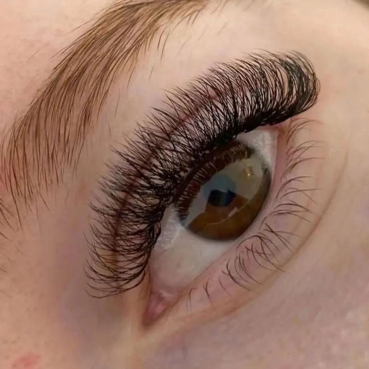 Elegance Express - Nail Art and Eyelash Studio